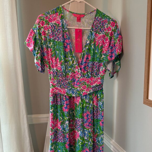 Lilly Pulitzer Dress NWT Size Small - Picture 1 of 7